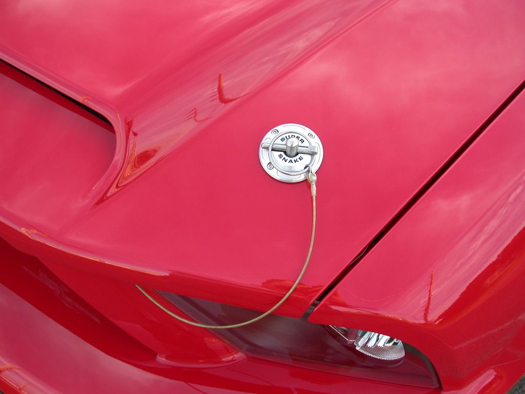 Hood Pins Ford Shelby GT500 Forum